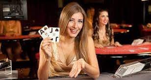ck444 bet login
